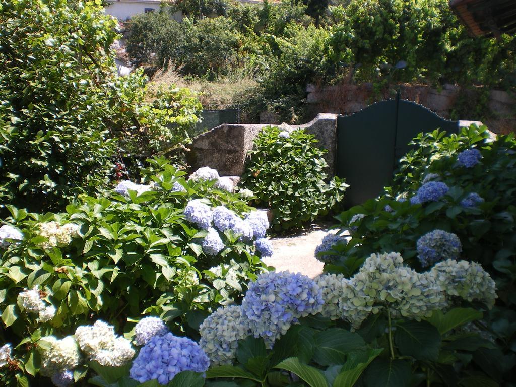 Casa Das Vendas 部屋 写真